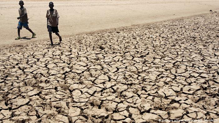 Millions in East Africa Face Starvation Due to Drought | The African Exponent.