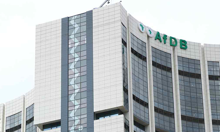 AfDB launches another social bond - The Namibian