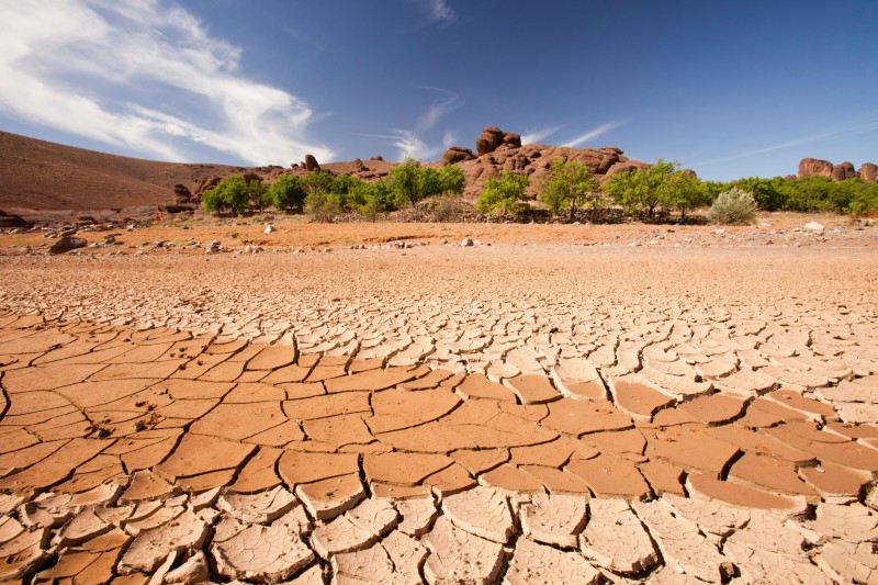 Africa Losing 15% of its GDP Growth to Climate Change | The African Exponent.