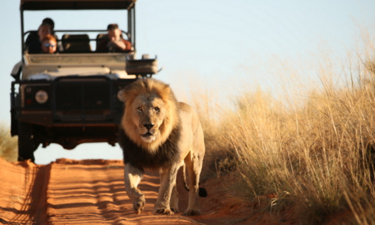 Namibia continues to attract tourists - The Namibian