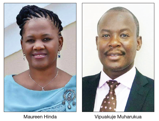 MPs want summaries submitted  with parliamentary bills - The Namibian