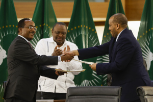 Ethiopia warring parties agree to cease hostilities