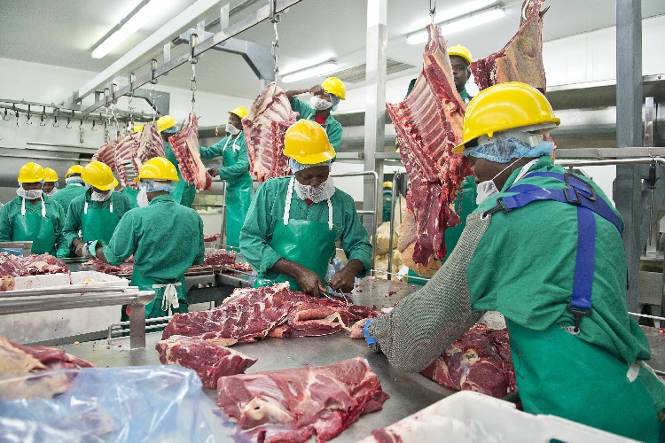 Meatco employee under investigation for cattle theft - The Namibian
