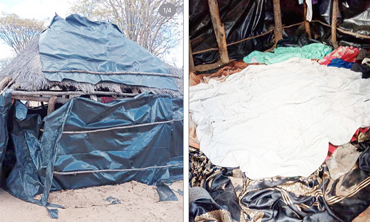 Pupils sleep on ground in huts covered with plastic - The Namibian