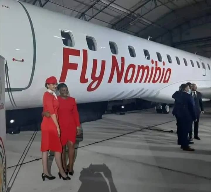 FlyNamibia withdraws objection- blame public negative response - The Namibian