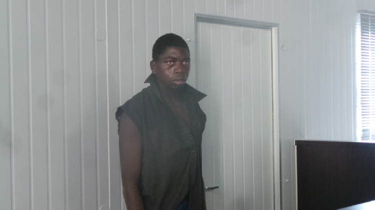 Matricide accused remanded in custody - The Namibian