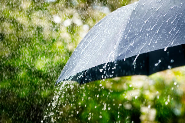 Météo : une veille de fortes pluies est en vigueur à Maurice