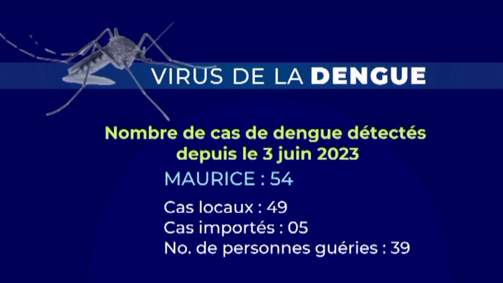 [VIDÉO] Fièvre dengue | Situation actuelle : 15 cas actifs à Maurice et 9 à Rodrigues
