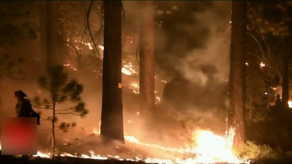 [VIDÉO] Incendies au Canada : 2,7 millions d'hectares de forêts partis en fumée