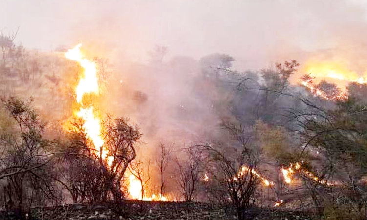 Veld fires consume over five million hectares - The Namibian