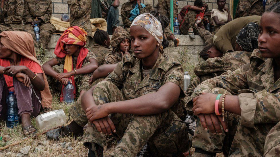 All You Need to Know About the Ethiopia- Amhara War? | The African Exponent.