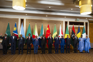 BRICS hails 'historic' entry of new members amid bloc rivalry