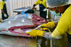 Ocean Basket Seychelles to build large fish processing company despite delays